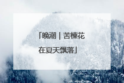 晚潮｜苦楝花在夏天飘落
